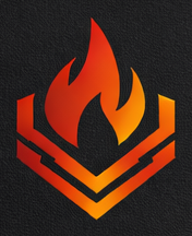 Blackfire Systems LLC logo